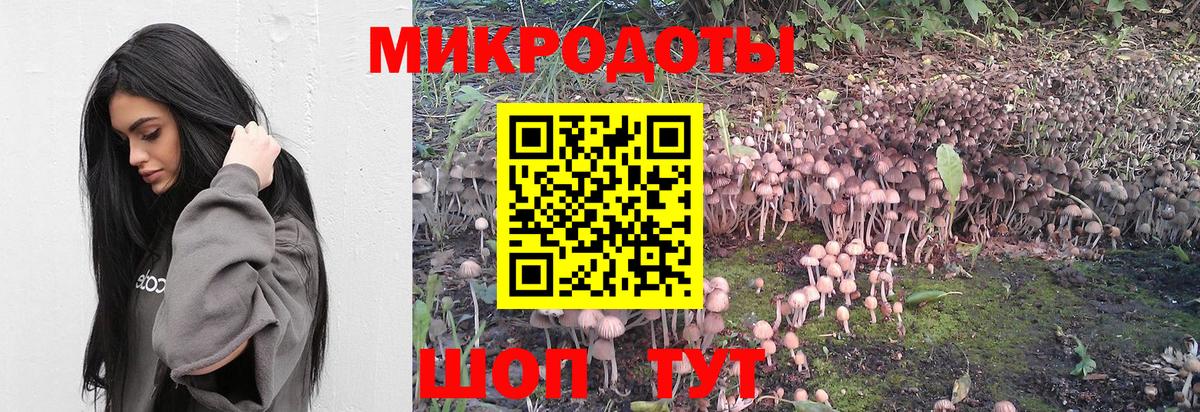 Псилоцибиновые грибы прущие грибы Тобольск